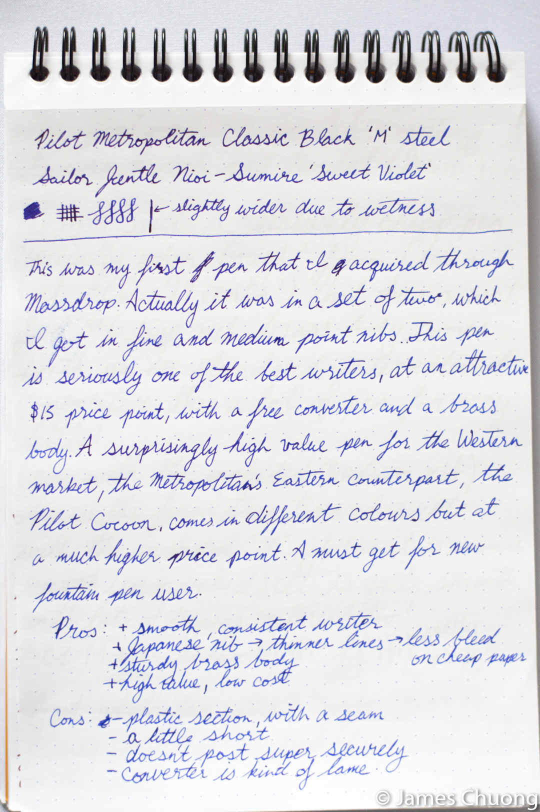 Pilot Metropolitan writing sample